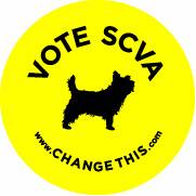 Vote for SCVA @ www.changethis.com